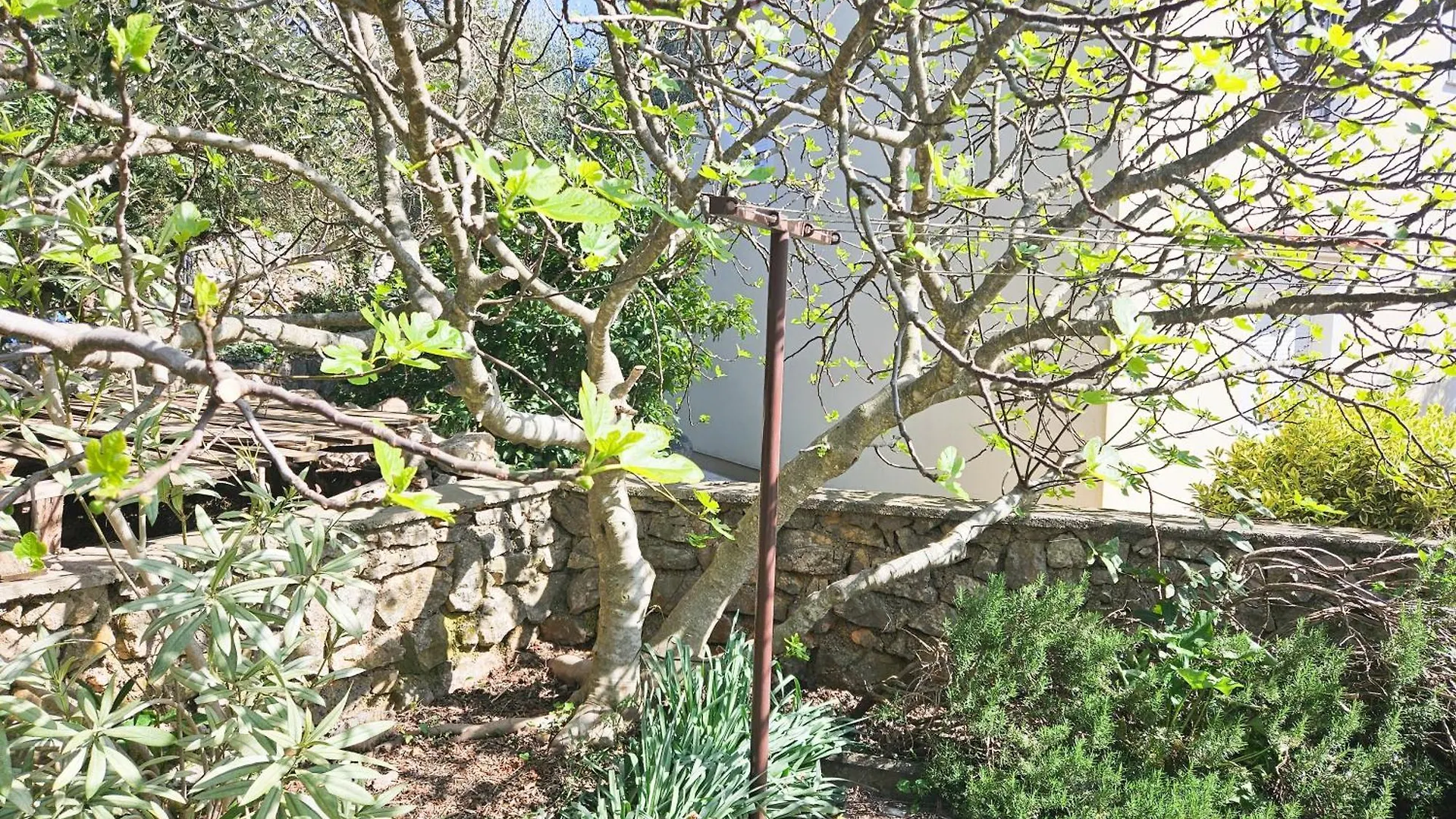 Apartment Vitafran Pinezici